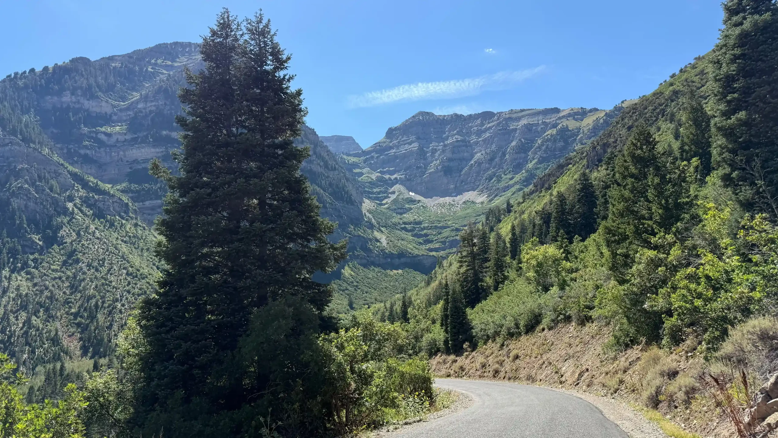 Featured image for “Driving Utah’s Alpine Loop: Know Before You Go”