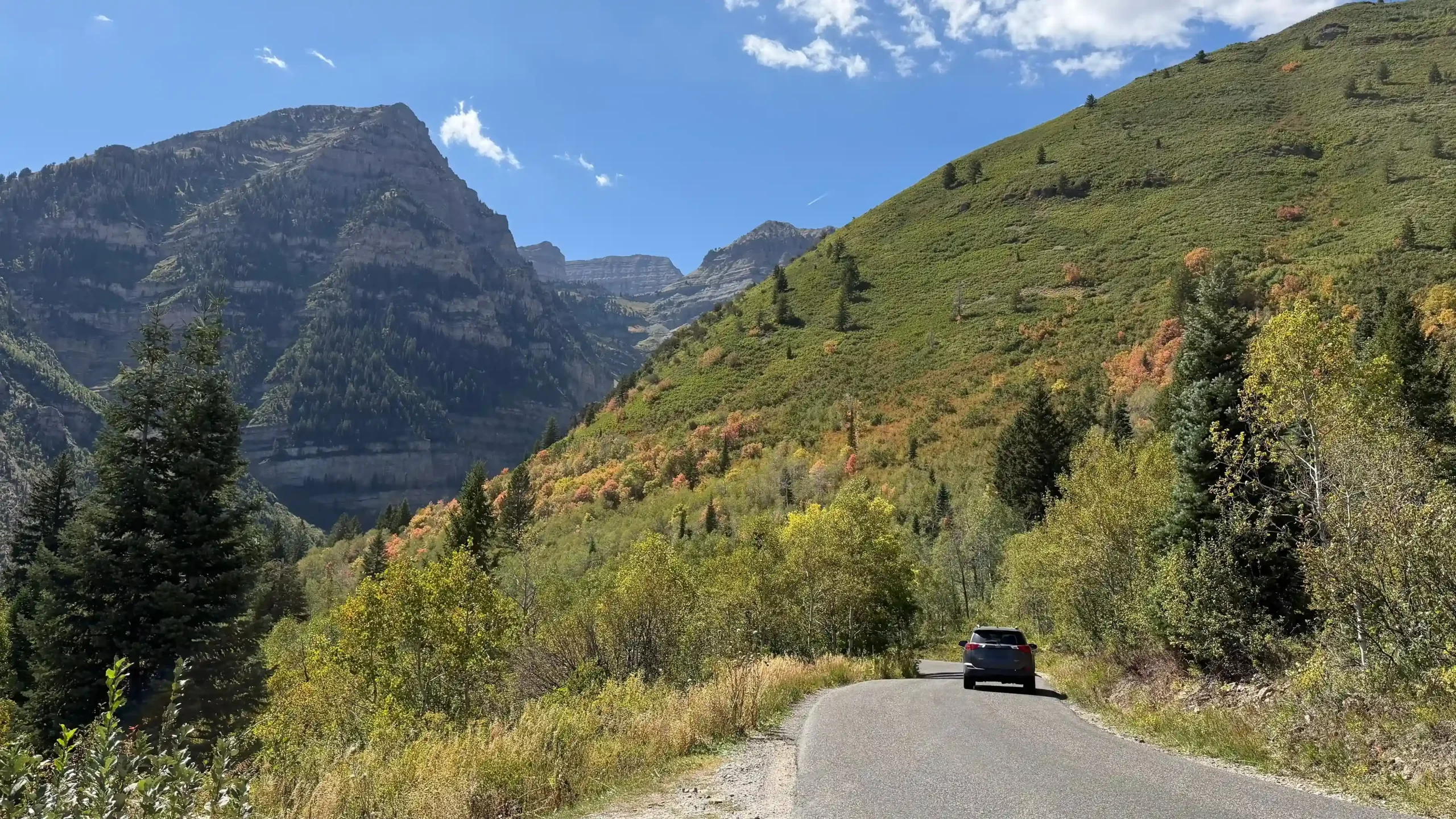 Featured image for “Your Guide to Leaf Peeping on the Alpine Loop”